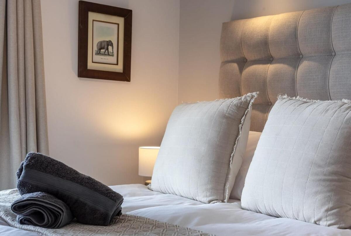 Appartement Tranquil, Spacious, Quiet Trendy With A View *