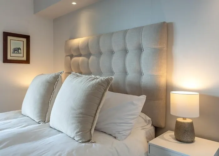Tranquil, Spacious, Quiet Trendy With A View