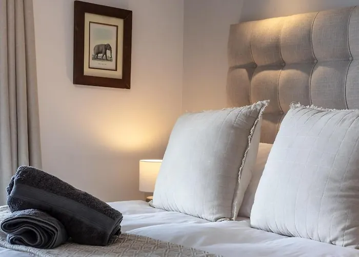 Tranquil, Spacious, Quiet Trendy With A View