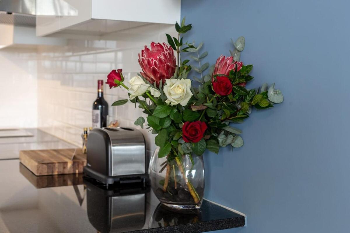 Tranquil, Spacious, Quiet Trendy With A View Apartment *